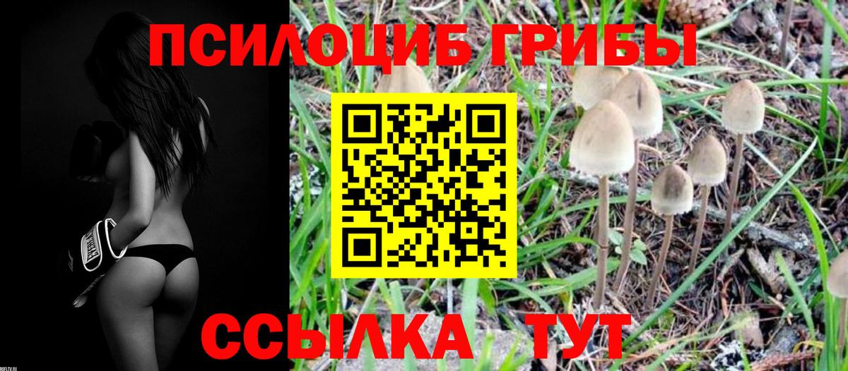 Псилоцибиновые грибы Psilocybine cubensis  Вход с VPN  Галлюциногенные грибы GOLDEN TEACHER  Волжский 